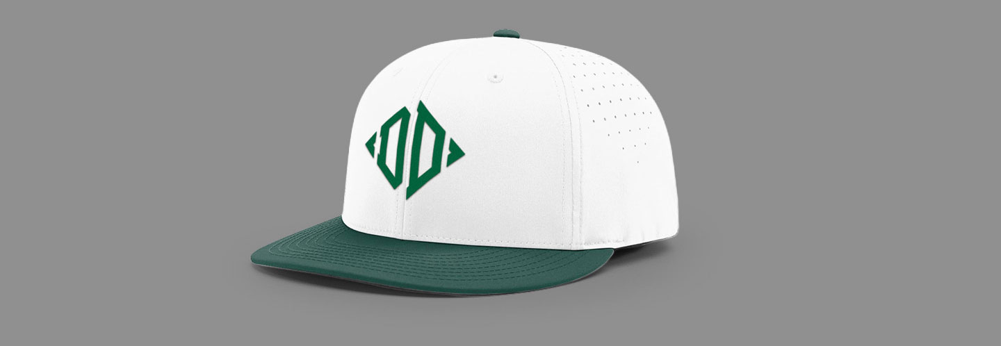 Diamond Ducks Hat Offer